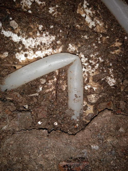 甘谷堵点精准查找